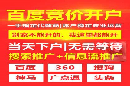 解析SEM竞价代运营的成功要素及案例